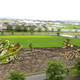 Illustration for article titled Behold These Incredible Artworks Grown from a Rice Field in Japan